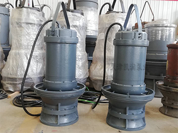 Submersible Axial Flow Pump